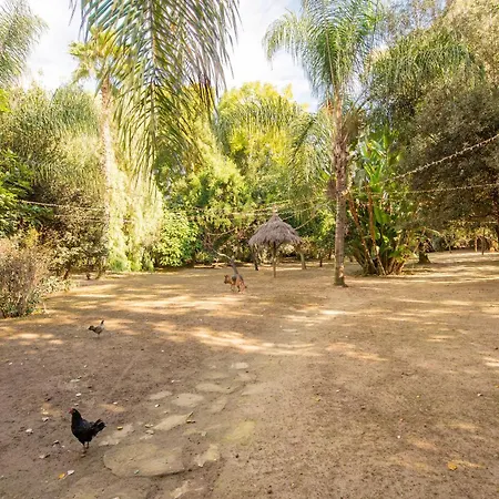 Holiday home Cortijo Rural Aves